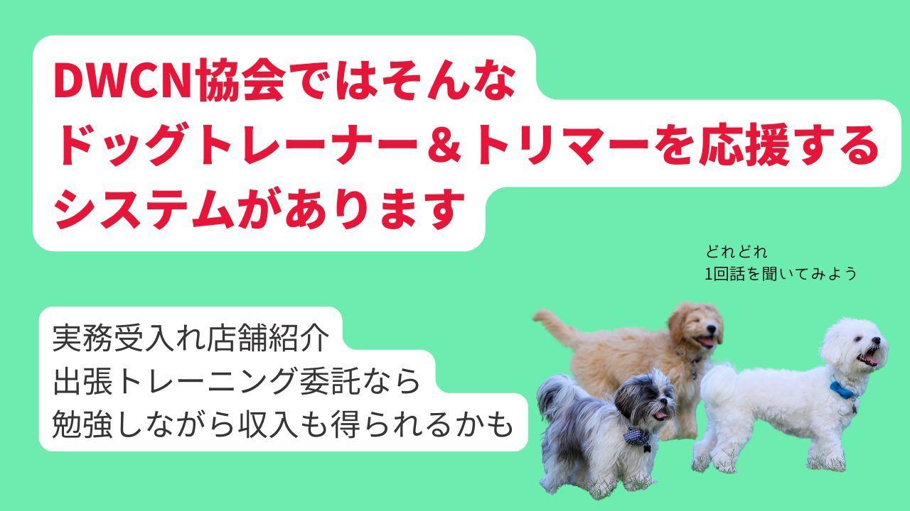 ドッグワーカーコーディネーター協会は犬のプロを繋いで、犬の動物福祉環境の底上げを図っています。連携することでペットの異業種、同業垣根なく、学び合い、向上できる場を提供しています